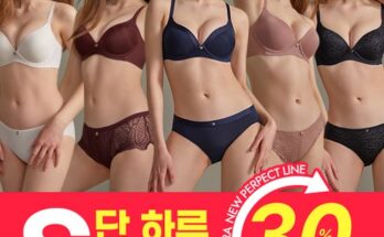 전문가 추천  23FW Perfect Shape 브라팬티 패키지 추천상품