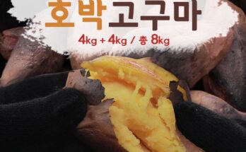 놓치면 후회할 해남 햇 꿀고구마 4kg4kg 베스트상품